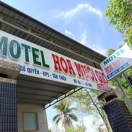 Nha Nghi Hoa Muoi Gio Hotel Tan Tao Exterior photo